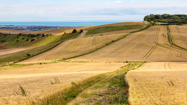 Lancing September